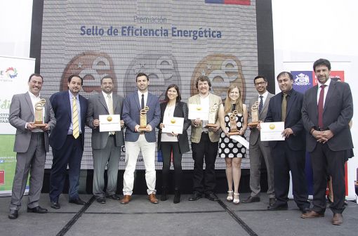 Empresa Nacional Del Petroleo (ENAP) Global Energy Management implementation case study