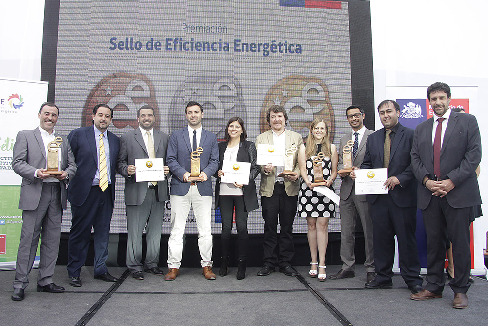 Empresa Nacional Del Petroleo (ENAP) Global Energy Management implementation case study