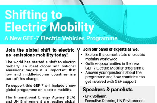 Head of CEM Secretariat explores global shift to electric mobility at Global Environment Facility's assembly