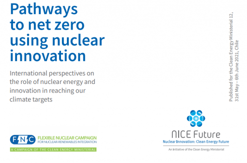 Nuclear innovation report on pathways to net-zero emissions