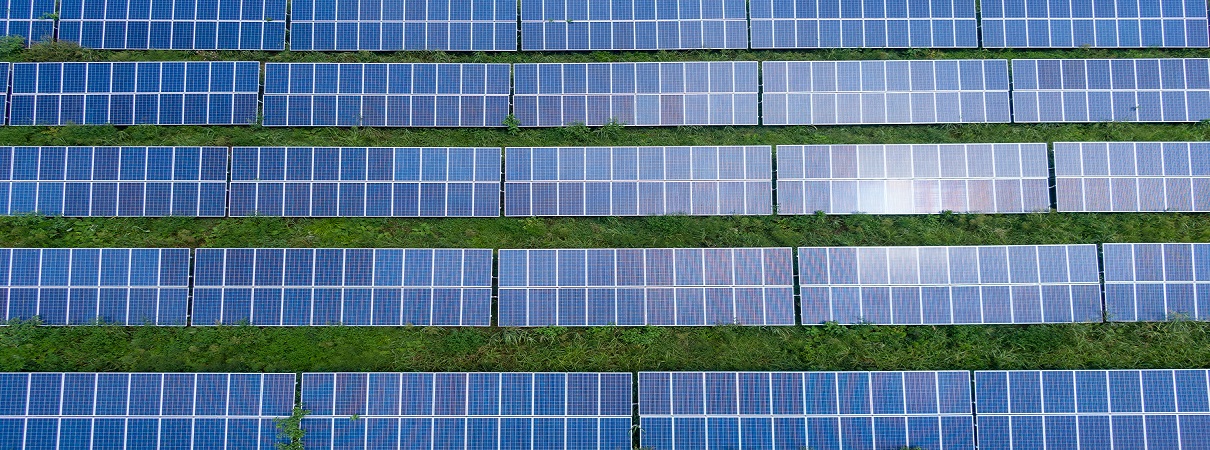 Power System Flexibility campaign