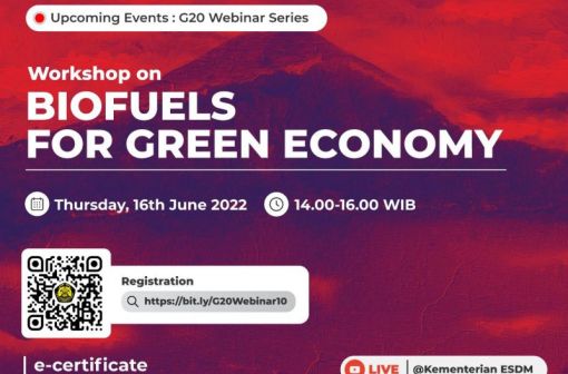 G20 Workshop: Biofuels for Green Economy