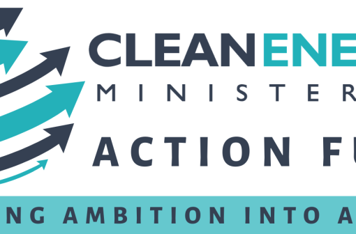 CEM Action Fund