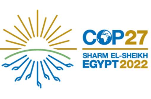 CEM at COP27 Newsletter