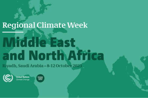 CEM at MENA Climate Week