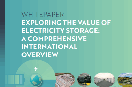 Exploring the Value of Electricity Storage: A Comprehensive International Overview