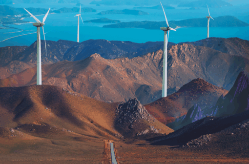 Pathways for Empowering Regulators to Advance Decarbonisation