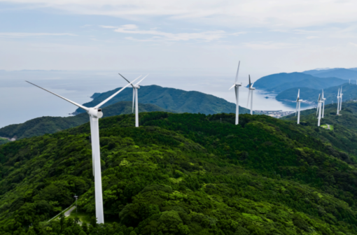 Empowering regulators to tackle decarbonisation