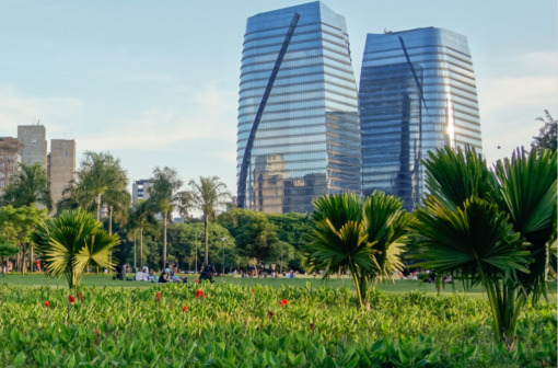 Green Public Procurement Pledge: Annual Progress Report 2025