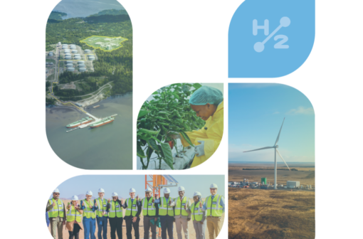 Case Studies on Local Beneficiation from Hydrogen Projects