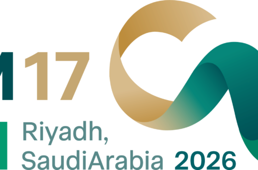 17th Clean Energy Ministerial (CEM17)