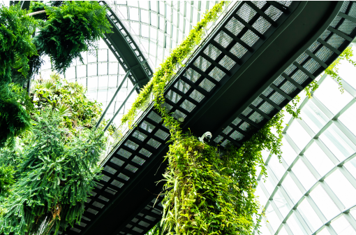 Government of Canada: Implementing the Standard on Embodied Carbon in Construction